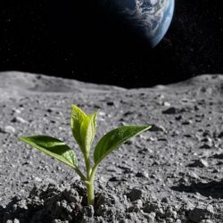 Artemis e Agro: ciência, soberania e o lugar do Brasil na exploração espacial