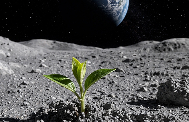 Artemis e Agro: ciência, soberania e o lugar do Brasil na exploração espacial