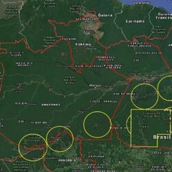 Imagens de satélites indicam redução do desmatamento no Brasil