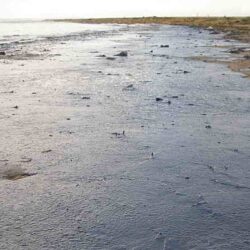 INPE e Marinha formalizam parceria para o Projeto SisMOM