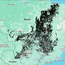 INPE disponibiliza dados sobre desmatamento referentes a junho de 2026